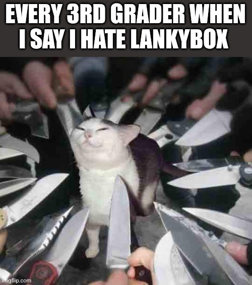 Knife Cat | EVERY 3RD GRADER WHEN I SAY I HATE LANKYBOX | image tagged in knife cat | made w/ Imgflip meme maker