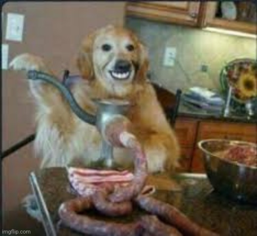 Cursed image | image tagged in meat dog | made w/ Imgflip meme maker