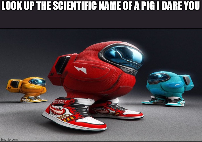 among us drip | LOOK UP THE SCIENTIFIC NAME OF A PIG I DARE YOU | image tagged in among us drip | made w/ Imgflip meme maker