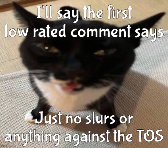Cat of anger | I'll say the first low rated comment says; Just no slurs or anything against the TOS | image tagged in cat of anger | made w/ Imgflip meme maker