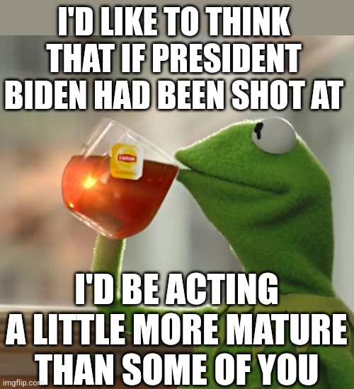 But That's None Of My Business Meme | I'D LIKE TO THINK THAT IF PRESIDENT BIDEN HAD BEEN SHOT AT; I'D BE ACTING A LITTLE MORE MATURE THAN SOME OF YOU | image tagged in memes,but that's none of my business,kermit the frog,trump,biden,respect | made w/ Imgflip meme maker