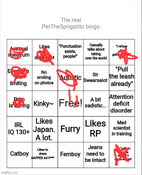 did a bingo | image tagged in the real petthesprigstito bingo | made w/ Imgflip meme maker