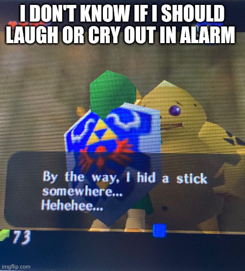 Zelda dirty joke | I DON'T KNOW IF I SHOULD LAUGH OR CRY OUT IN ALARM | image tagged in zelda dirty joke | made w/ Imgflip meme maker