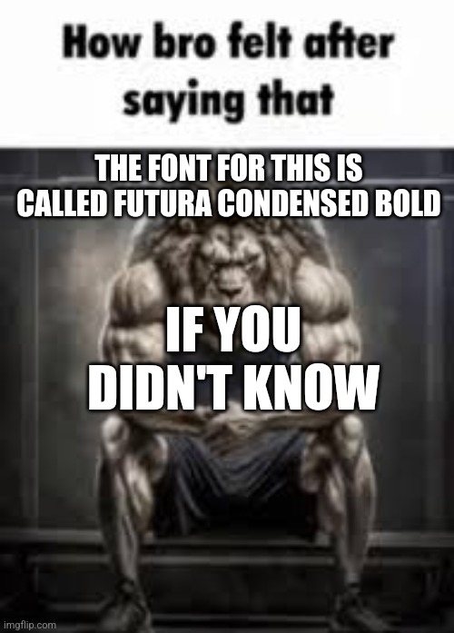 How bro felt after saying that | THE FONT FOR THIS IS CALLED FUTURA CONDENSED BOLD; IF YOU DIDN'T KNOW | image tagged in how bro felt after saying that | made w/ Imgflip meme maker