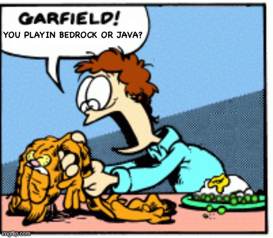 “Play Minecraft” bro which one | YOU PLAYIN BEDROCK OR JAVA? | image tagged in garfield speak to me | made w/ Imgflip meme maker