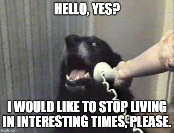 Dog Phone | HELLO, YES? I WOULD LIKE TO STOP LIVING IN INTERESTING TIMES, PLEASE. | image tagged in dog phone | made w/ Imgflip meme maker