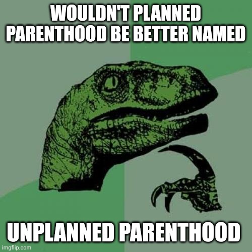 Philosoraptor | WOULDN'T PLANNED PARENTHOOD BE BETTER NAMED; UNPLANNED PARENTHOOD | image tagged in memes,philosoraptor | made w/ Imgflip meme maker