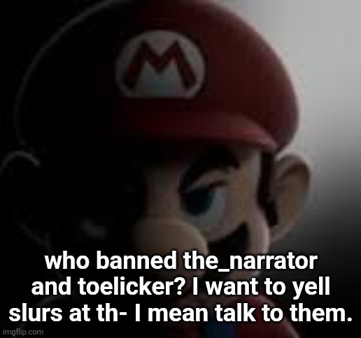 Mario Dont ever do that again | who banned the_narrator and toelicker? I want to yell slurs at th- I mean talk to them. | image tagged in mario dont ever do that again | made w/ Imgflip meme maker