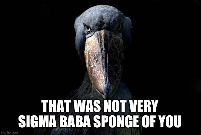 The W | THAT WAS NOT VERY SIGMA BABA SPONGE OF YOU | image tagged in the w | made w/ Imgflip meme maker