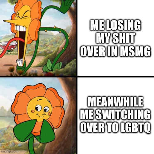 angry flower | ME LOSING MY SHIT OVER IN MSMG; MEANWHILE ME SWITCHING OVER TO LGBTQ | image tagged in angry flower | made w/ Imgflip meme maker