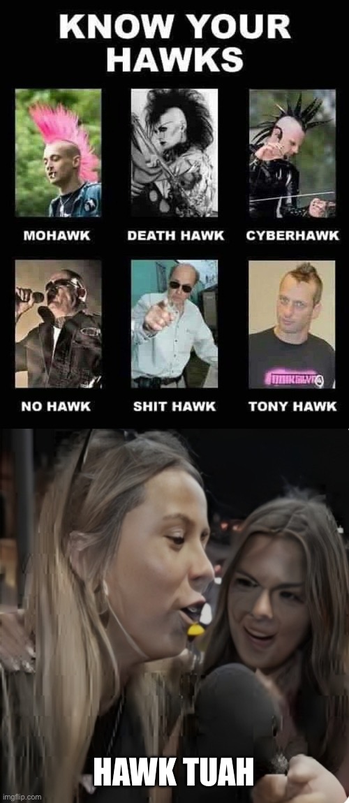 HAWK TUAH | image tagged in hawk tuah | made w/ Imgflip meme maker