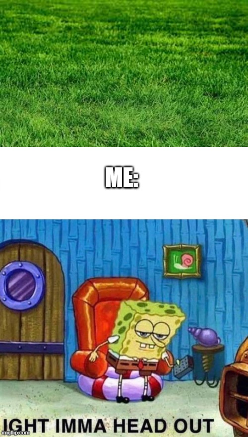 Grass=Disgusting | ME: | image tagged in grass,disgusting | made w/ Imgflip meme maker