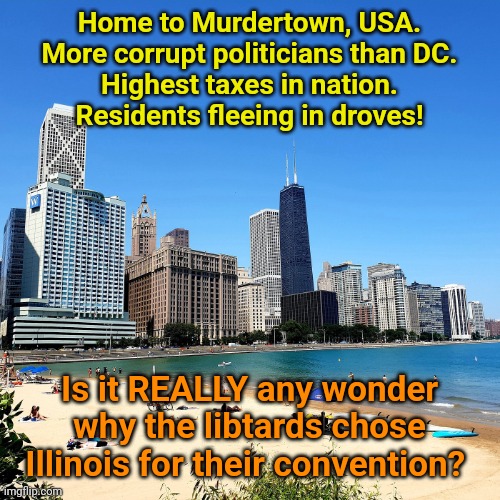 Birds of a Feather... | Home to Murdertown, USA.
More corrupt politicians than DC.
Highest taxes in nation.
Residents fleeing in droves! Is it REALLY any wonder why the libtards chose Illinois for their convention? | made w/ Imgflip meme maker