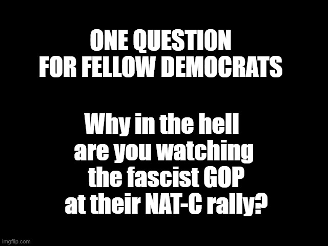 NAT-C rally | ONE QUESTI0N FOR FELLOW DEMOCRATS; Why in the hell 
are you watching
 the fascist GOP
 at their NAT-C rally? | image tagged in trump is a moron,traitor trump,nazis,fascists,gop | made w/ Imgflip meme maker