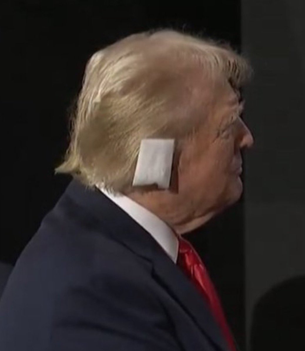 trump ear Blank Meme Template