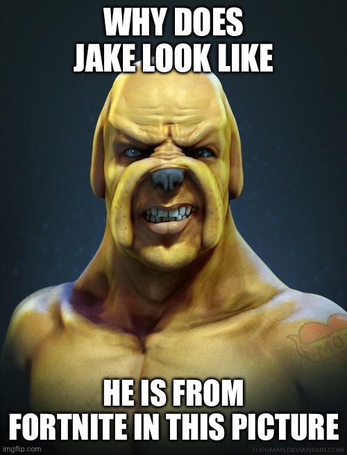 realistic jake | WHY DOES JAKE LOOK LIKE; HE IS FROM FORTNITE IN THIS PICTURE | image tagged in realistic jake | made w/ Imgflip meme maker