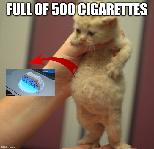 Cat full of soup | FULL OF 500 CIGARETTES | image tagged in cat full of soup | made w/ Imgflip meme maker