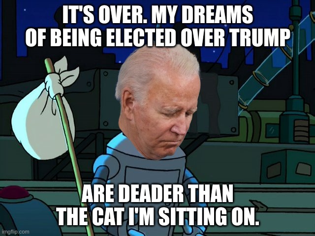 Deader than the cat I'm sitting on | IT'S OVER. MY DREAMS OF BEING ELECTED OVER TRUMP; ARE DEADER THAN THE CAT I'M SITTING ON. | image tagged in deader than the cat i'm sitting on | made w/ Imgflip meme maker