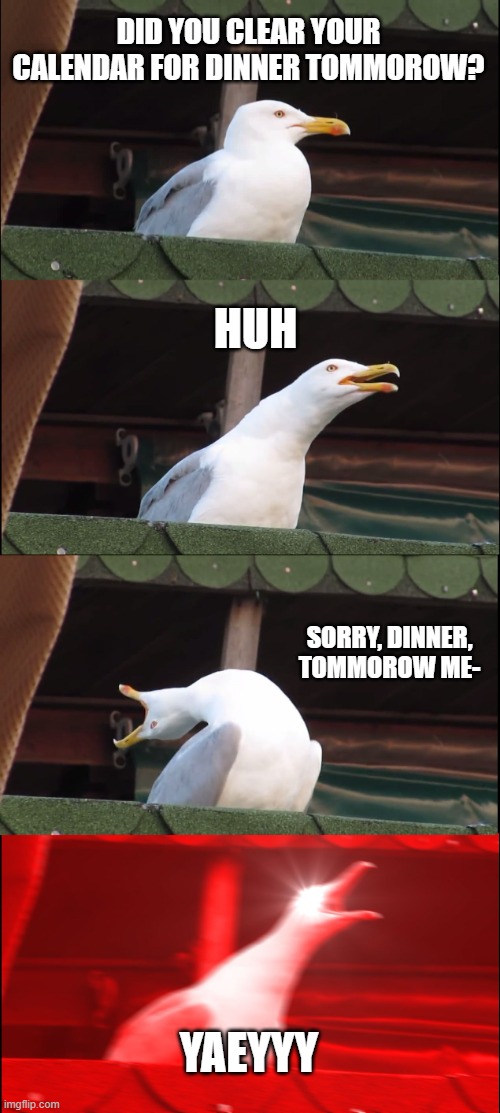 That one dumb friend ;) | DID YOU CLEAR YOUR CALENDAR FOR DINNER TOMMOROW? HUH; SORRY, DINNER, TOMMOROW ME-; YAEYYY | image tagged in memes,inhaling seagull,dumb,dinner | made w/ Imgflip meme maker