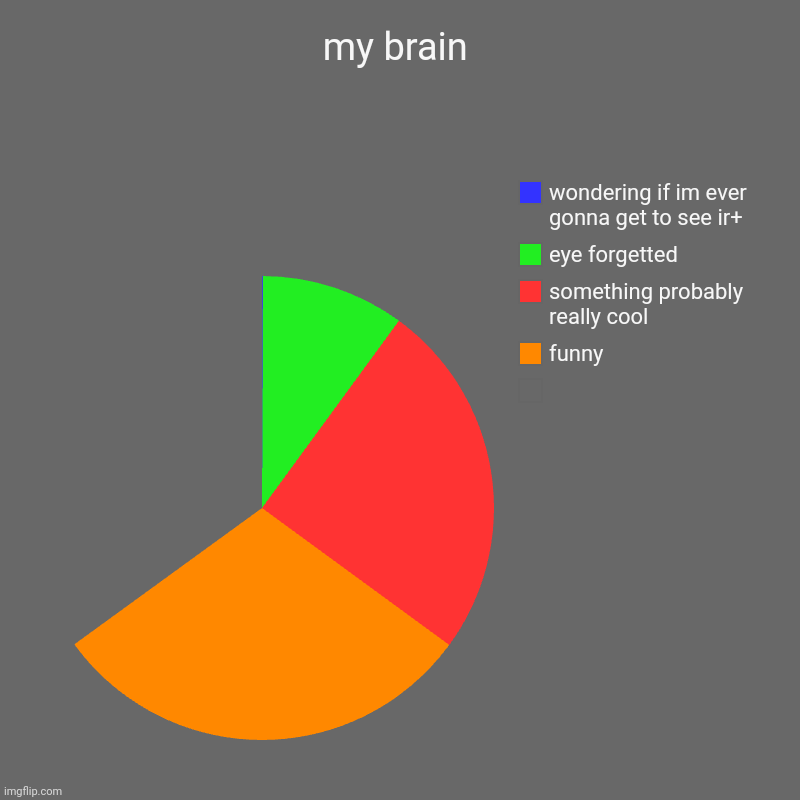 my brain | my brain |  , funny, something probably really cool, eye forgetted, wondering if im ever gonna get to see ir+ | image tagged in charts,pie charts | made w/ Imgflip chart maker