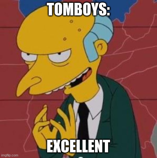 Mr. Burns Excellent | TOMBOYS: EXCELLENT | image tagged in mr burns excellent | made w/ Imgflip meme maker