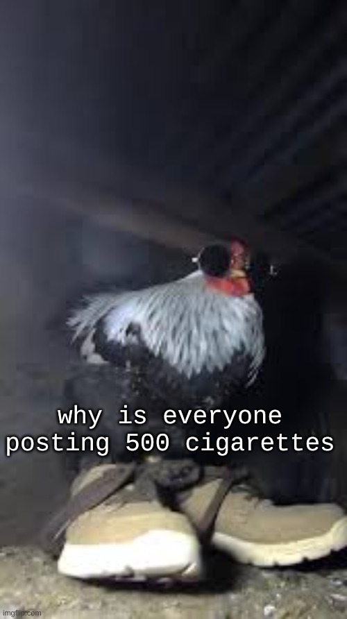 Drip chicken Sp3x_ | why is everyone posting 500 cigarettes | image tagged in drip chicken sp3x_ | made w/ Imgflip meme maker