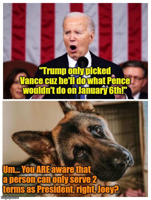 Shouldn't we have someone in there who actually KNOWS the Constitution? | "Trump only picked Vance cuz he'll do what Pence wouldn't do on January 6th!"; Um... You ARE aware that a person can only serve 2 terms as President, right, Joey? | made w/ Imgflip meme maker