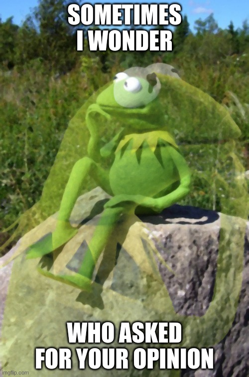 Kermit Thinking | SOMETIMES I WONDER; WHO ASKED FOR YOUR OPINION | image tagged in kermit thinking | made w/ Imgflip meme maker