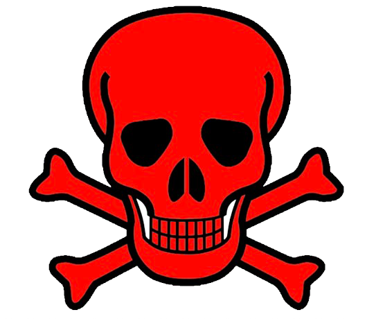 Red skull and bones Blank Meme Template