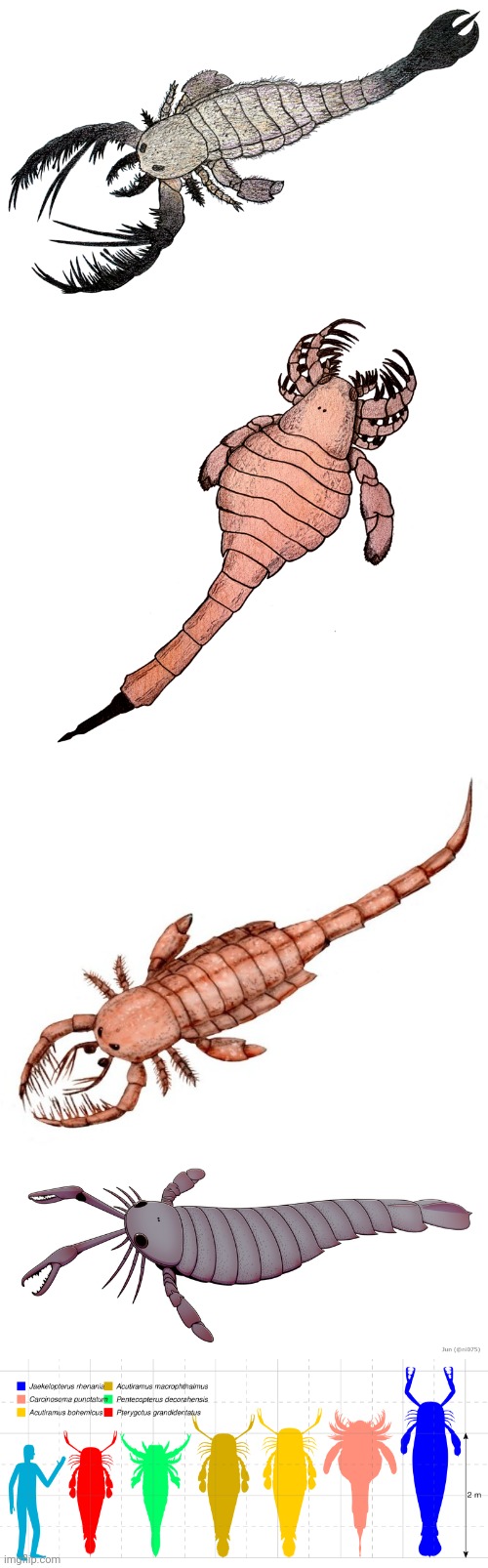 I have found the biblically accurate bugs | made w/ Imgflip meme maker