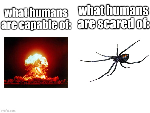 what humans are capable of:; what humans are scared of: | made w/ Imgflip meme maker