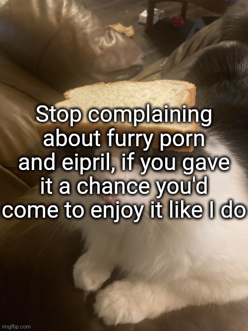bread cat | Stop complaining about furry porn and eipril, if you gave it a chance you'd come to enjoy it like I do | image tagged in bread cat | made w/ Imgflip meme maker