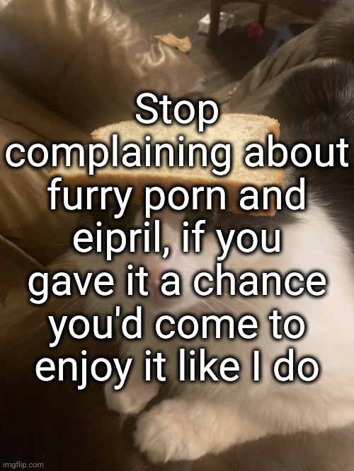 I did not want to post this | Stop complaining about furry porn and eipril, if you gave it a chance you'd come to enjoy it like I do | image tagged in bread cat | made w/ Imgflip meme maker