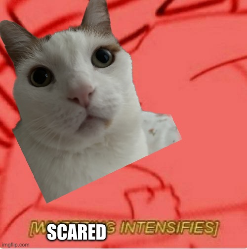 Wheeze | SCARED | image tagged in wheeze | made w/ Imgflip meme maker