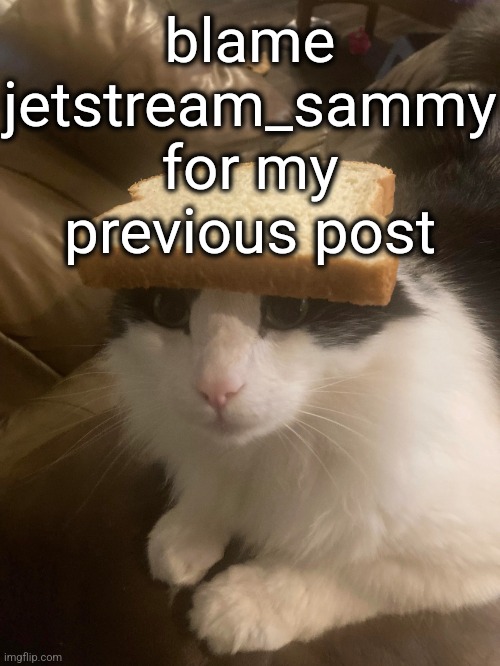 bread cat | blame jetstream_sammy for my previous post | image tagged in bread cat | made w/ Imgflip meme maker