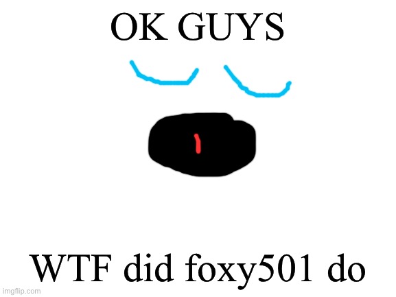 Blank White Template | OK GUYS; WTF did foxy501 do | image tagged in blank white template | made w/ Imgflip meme maker