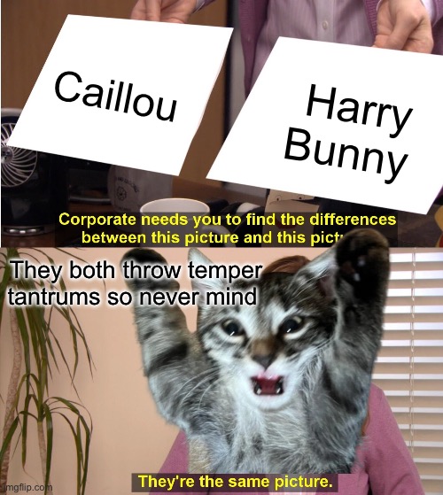 A mom told me that Harry Bunny basically acts the same as Caillou | Caillou; Harry Bunny; They both throw temper tantrums so never mind | image tagged in memes,they're the same picture | made w/ Imgflip meme maker