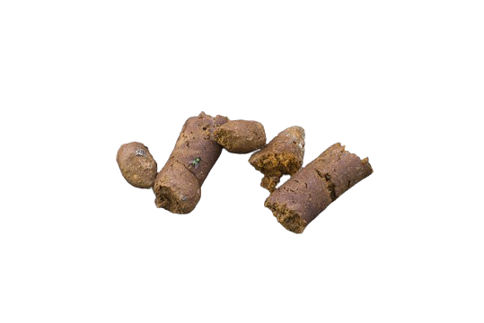 Dog shit Blank Meme Template