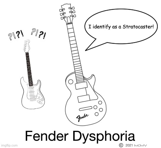 Fender Dysphoria | image tagged in lgbtq,transgender,one joke,funny,guitar | made w/ Imgflip meme maker