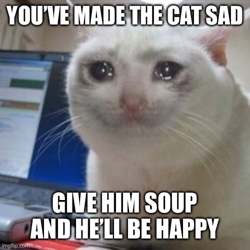 YOU’VE MADE THE CAT SAD GIVE HIM SOUP AND HE’LL BE HAPPY | image tagged in crying cat | made w/ Imgflip meme maker