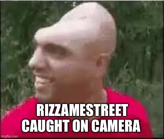 Dishweed | RIZZAMESTREET CAUGHT ON CAMERA | image tagged in dishweed | made w/ Imgflip meme maker