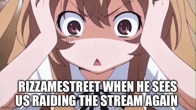 That idiot | RIZZAMESTREET WHEN HE SEES US RAIDING THE STREAM AGAIN | image tagged in anime realization | made w/ Imgflip meme maker