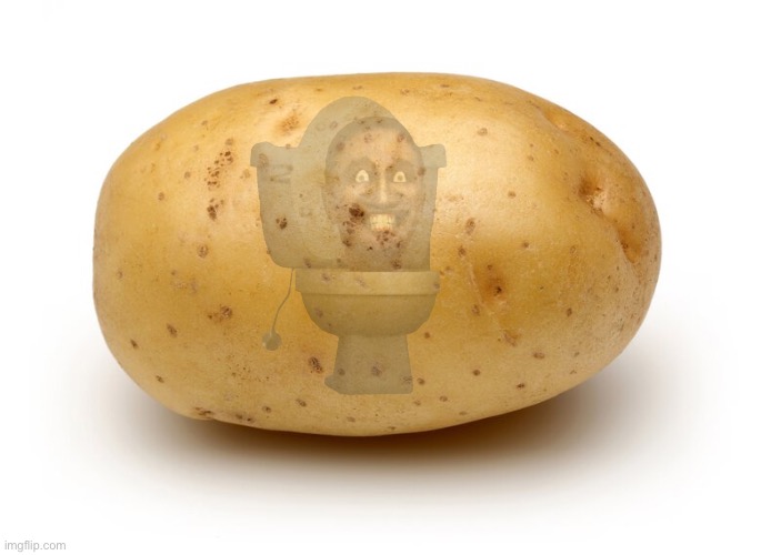Stupid Potato | image tagged in stupid potato | made w/ Imgflip meme maker