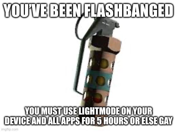 Flashbang! | YOU’VE BEEN FLASHBANGED; YOU MUST USE LIGHTMODE ON YOUR DEVICE AND ALL APPS FOR 5 HOURS OR ELSE GAY | image tagged in flashbang | made w/ Imgflip meme maker