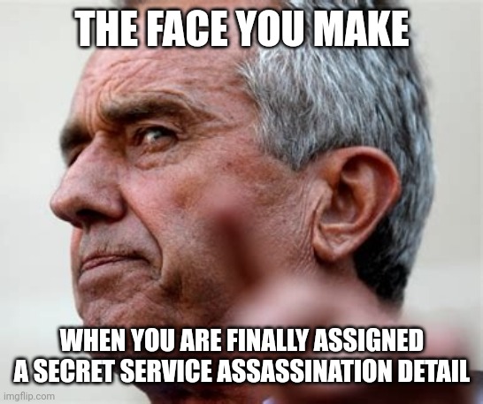 RFK Jr., insane, run by Steve Bannon and Republican money | THE FACE YOU MAKE WHEN YOU ARE FINALLY ASSIGNED A SECRET SERVICE ASSASSINATION DETAIL | image tagged in rfk jr insane run by steve bannon and republican money | made w/ Imgflip meme maker