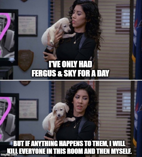 Blank  "I've only had Arlo for a day and a half" template | I'VE ONLY HAD FERGUS & SKY FOR A DAY; BUT IF ANYTHING HAPPENS TO THEM, I WILL KILL EVERYONE IN THIS ROOM AND THEN MYSELF. | image tagged in blank i've only had arlo for a day and a half template | made w/ Imgflip meme maker