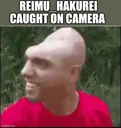 Dishweed | REIMU_HAKUREI CAUGHT ON CAMERA | image tagged in dishweed | made w/ Imgflip meme maker
