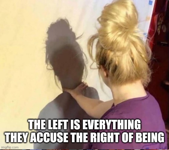 My worst enemy | THE LEFT IS EVERYTHING THEY ACCUSE THE RIGHT OF BEING | image tagged in my worst enemy,funny memes | made w/ Imgflip meme maker