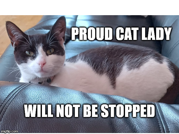 Proud cat lady | PROUD CAT LADY; WILL NOT BE STOPPED | image tagged in cat,cat lady,politics,american politics | made w/ Imgflip meme maker