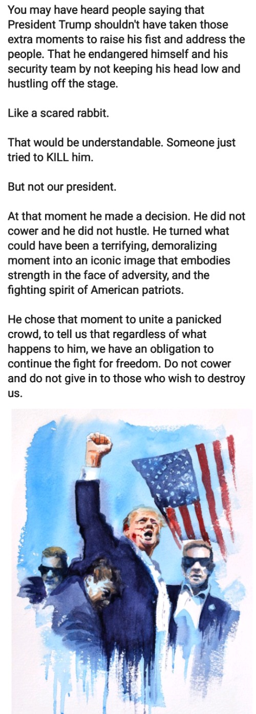 Donald Trump Embodies The Fighting Spirit of the United States of America | image tagged in donald trump,the fighting spirit of america | made w/ Imgflip meme maker